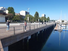 WhatsApp Image 2026-01-28 at 11.01.24